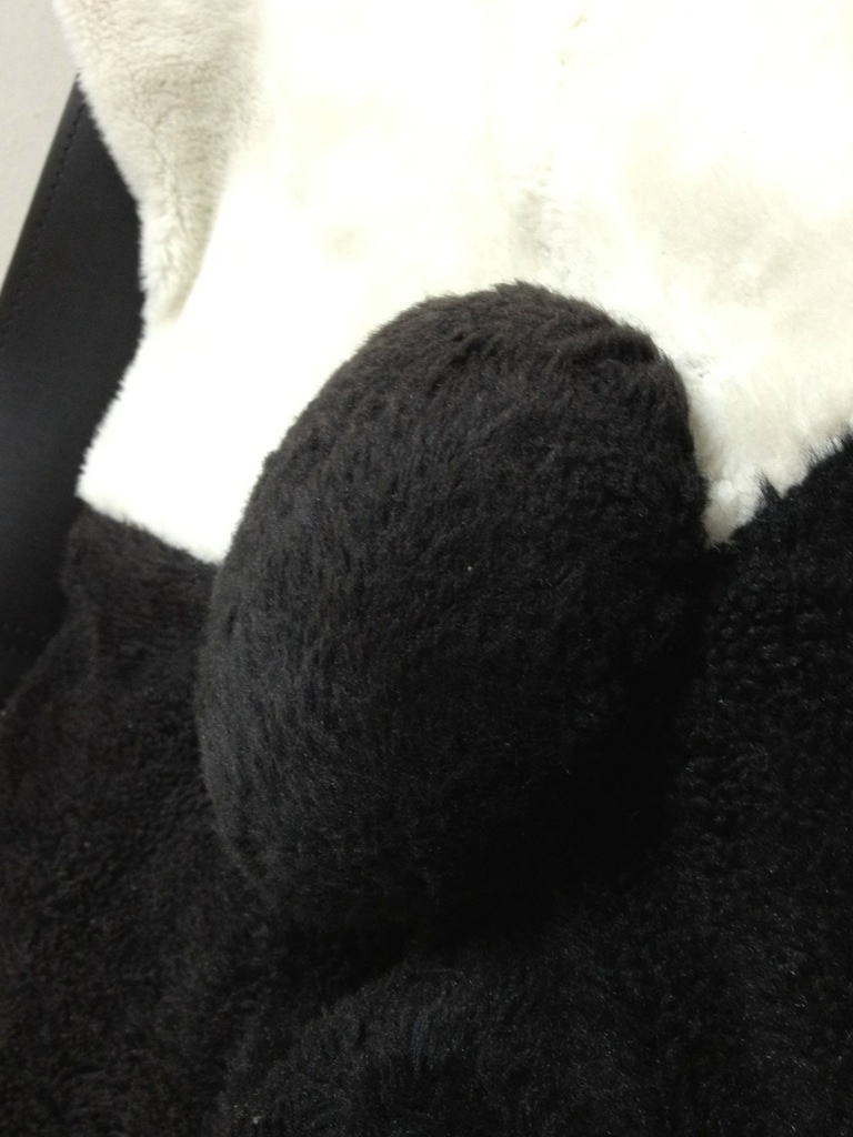 パンダの尻尾