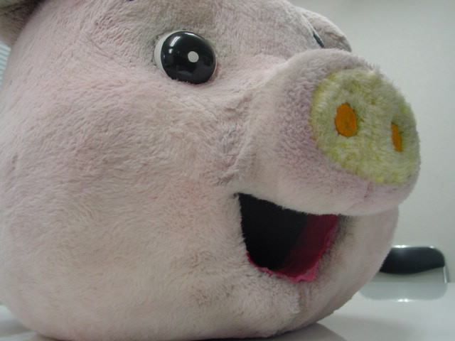 着ぐるみ　ブタ
