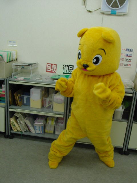 着ぐるみ　クマ