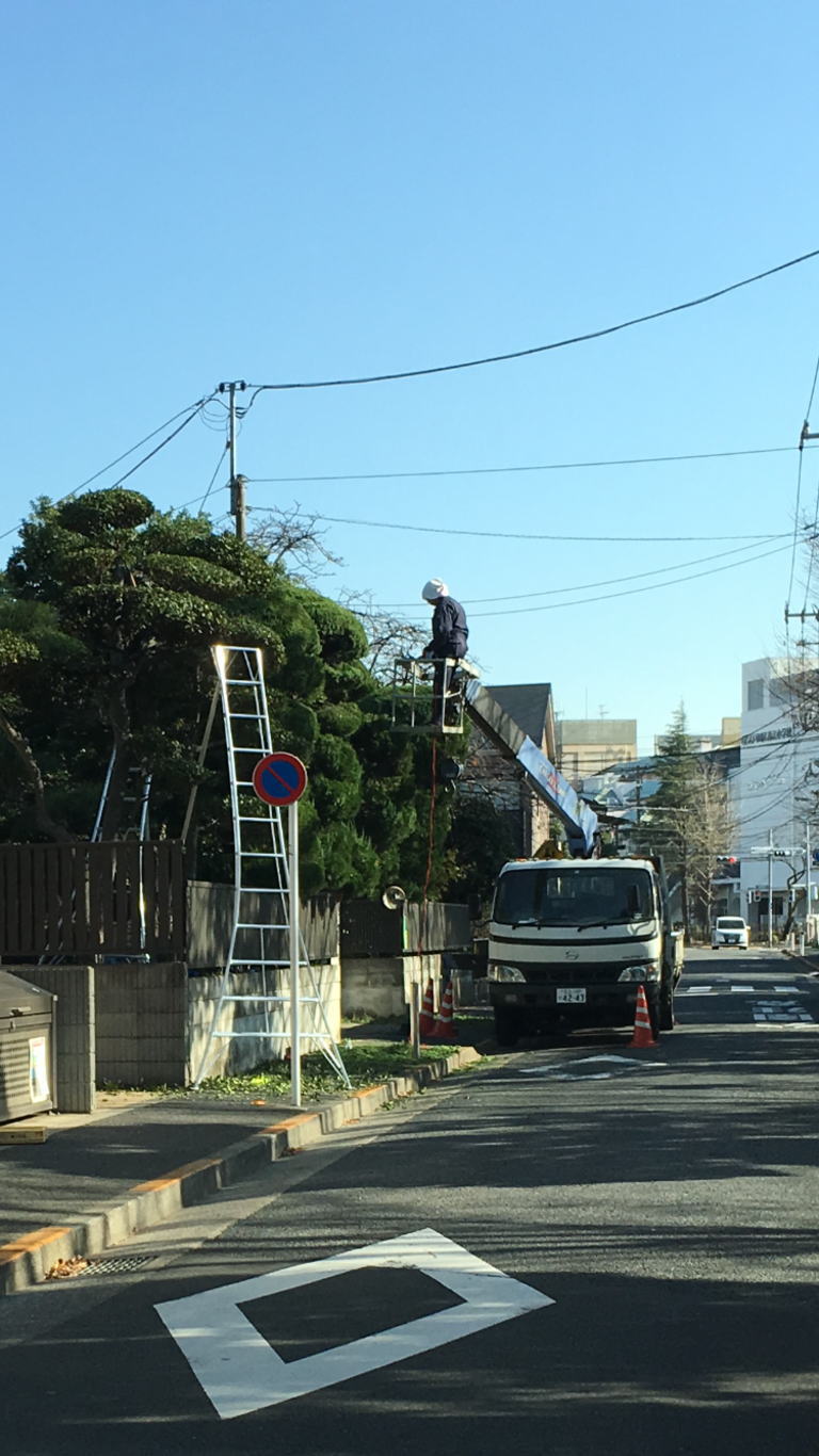 園芸用アルミ三脚12尺実際の使用例