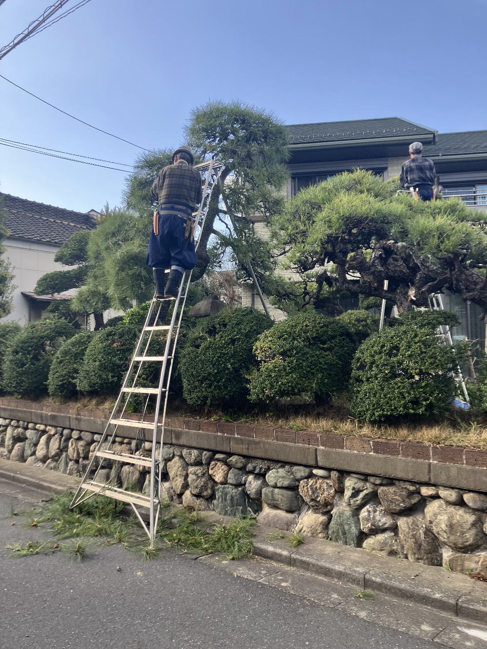 園芸用三脚